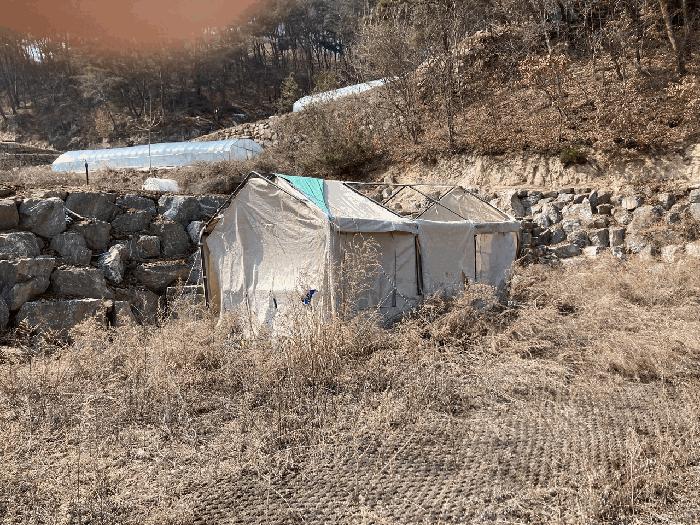 강원특별자치도 영월군 주천면 도천리 692-37 임야 경매 사진 3