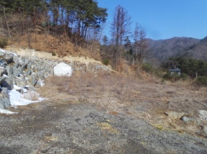 강원특별자치도 영월군 주천면 도천리 692-37 임야 경매 사진 5