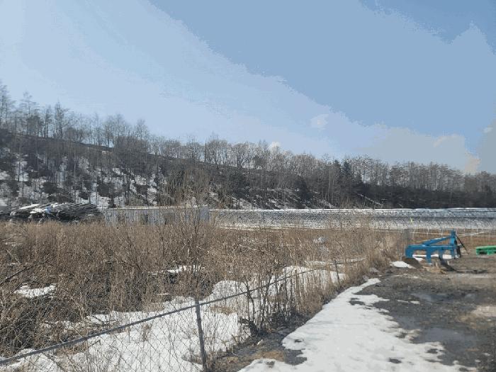 강원특별자치도 평창군 대관령면 횡계리 71 전 경매 사진 4