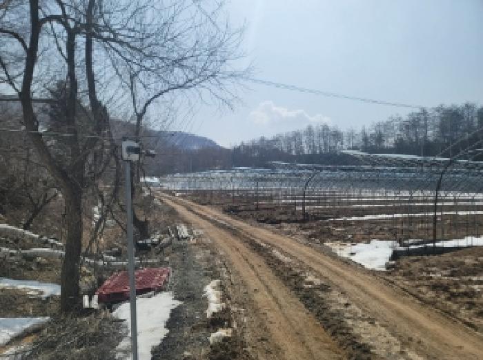강원특별자치도 평창군 대관령면 횡계리 71-7 전 경매 사진 10