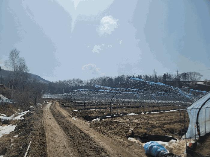 강원특별자치도 평창군 대관령면 횡계리 71-7 전 경매 사진 11