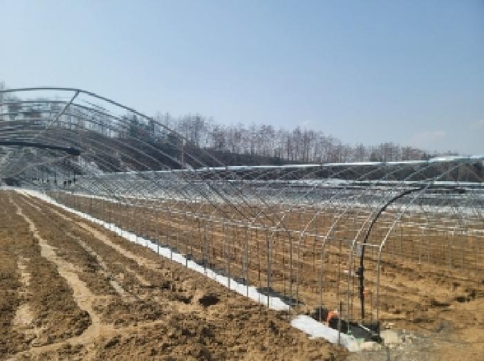 강원특별자치도 평창군 대관령면 횡계리 71-7 전 경매 사진 7