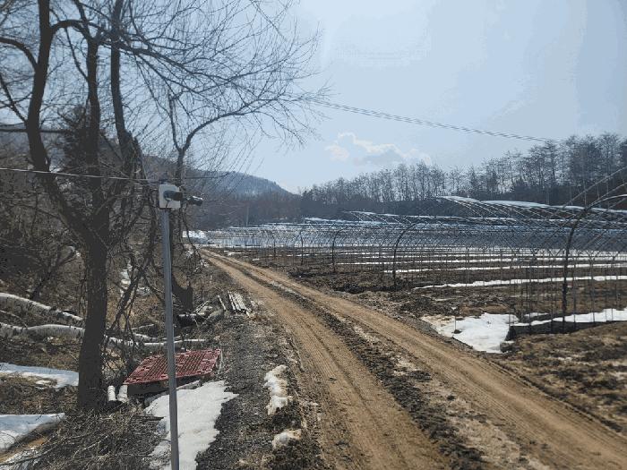 강원특별자치도 평창군 대관령면 횡계리 72-2 전 경매 사진 1