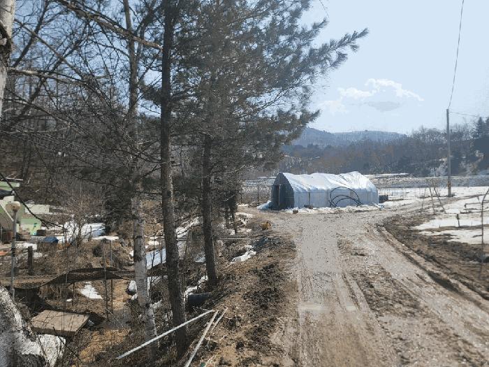 강원특별자치도 평창군 대관령면 횡계리 72-4 전 경매 사진 2