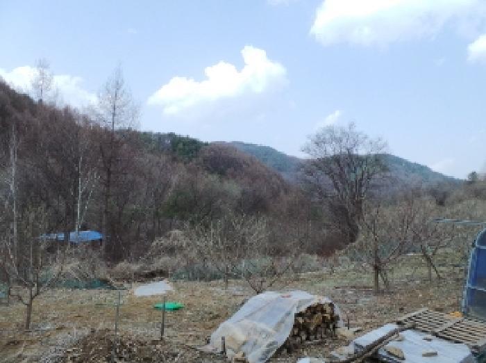강원특별자치도 평창군 평창읍 향동리 99 전 경매 사진 3