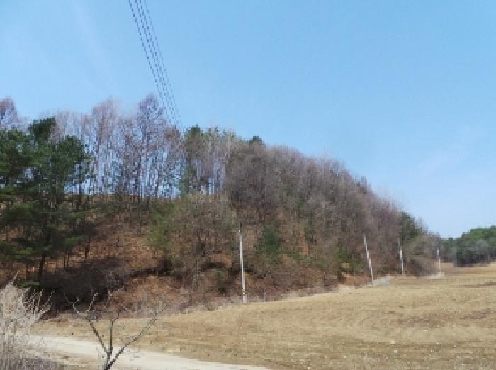 강원특별자치도 평창군 봉평면 창동리 산175-2 임야 경매 사진 2