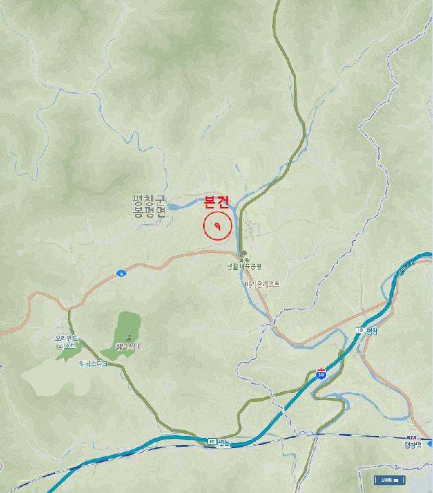 강원특별자치도 평창군 봉평면 창동리 산175-2 임야 경매 사진 4