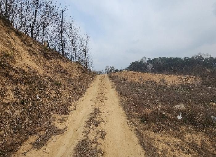 충청북도 옥천군 동이면 지양리 산72-1 임야 경매 사진 11