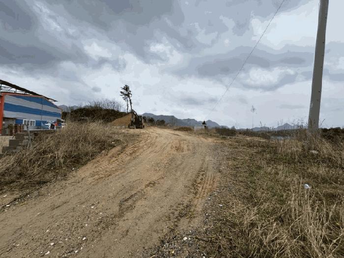 충청북도 옥천군 동이면 지양리 산72-1 임야 경매 사진 12