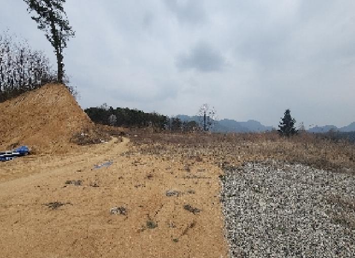 충청북도 옥천군 동이면 지양리 산72-1 임야 경매 사진 6