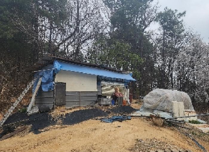 충청북도 옥천군 동이면 지양리 산72-1 임야 경매 사진 9