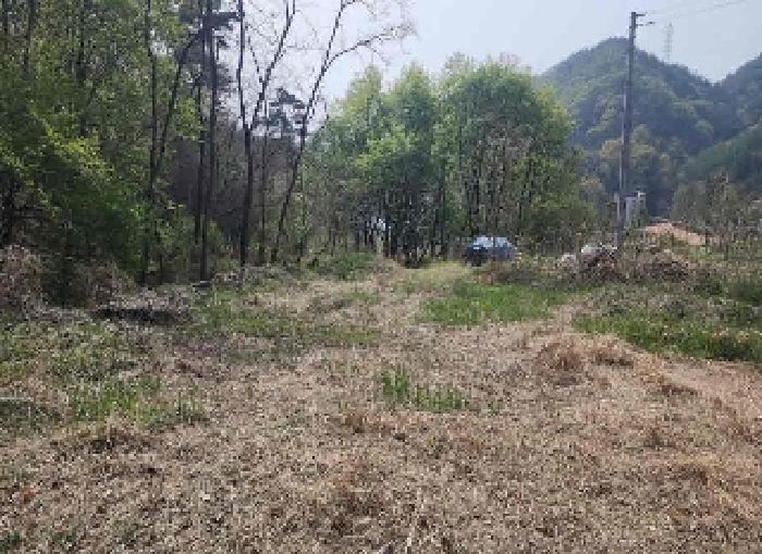 충청북도 옥천군 옥천읍 교동리 123 전 경매 사진 4