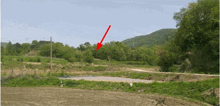 충청북도 옥천군 청성면 능월리 161-8 전 경매 사진 5