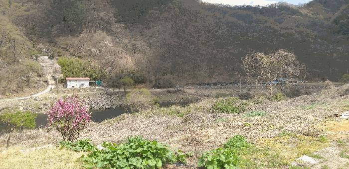 충청북도 영동군 용산면 한석리 540-2 과수원 경매 사진 3