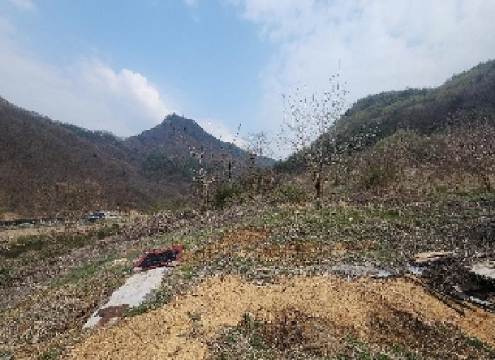 충청북도 영동군 용산면 한석리 540-2 과수원 경매 사진 5