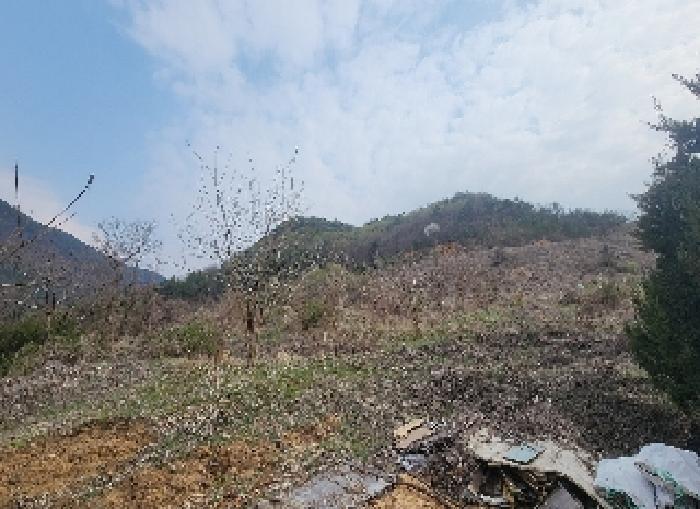 충청북도 영동군 용산면 한석리 540-2 과수원 경매 사진 6