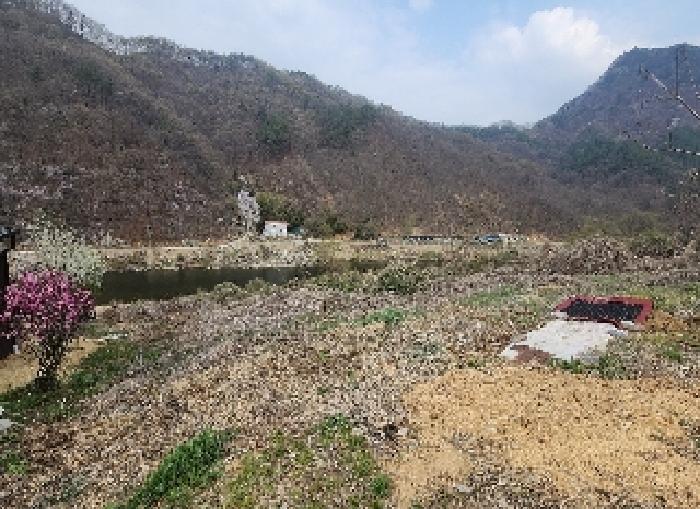 충청북도 영동군 용산면 한석리 540-2 과수원 경매 사진 7