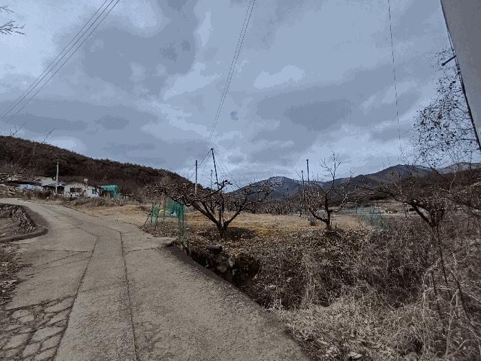 경상북도 청도군 풍각면 화산리 37 답 경매 사진 3