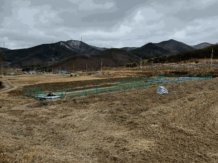 경상북도 청도군 풍각면 화산리 37 답 경매 사진 5