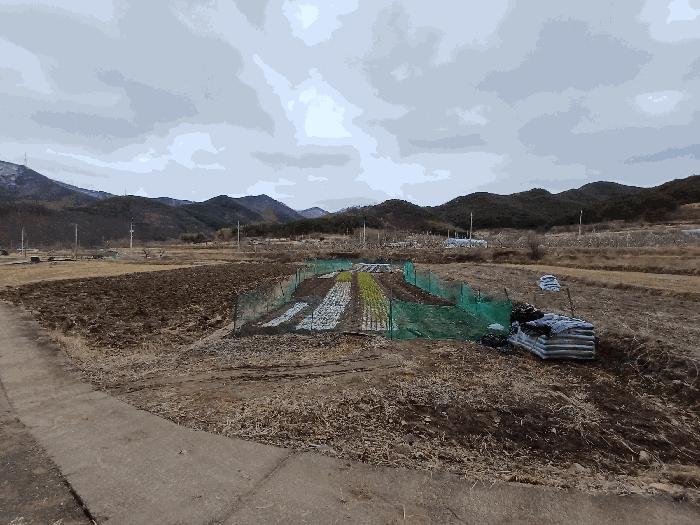 경상북도 청도군 풍각면 화산리 37 답 경매 사진 6