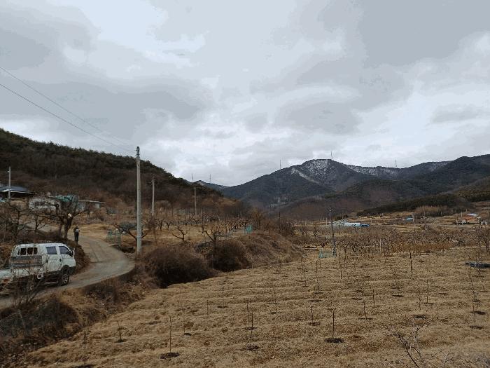 경상북도 청도군 풍각면 화산리 689 과수원 경매 사진 4