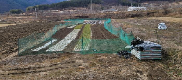 경상북도 청도군 풍각면 화산리 689 과수원 경매 사진 7