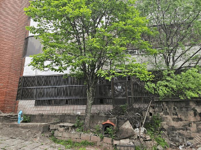 경상북도 칠곡군 왜관읍 왜관리 324-6 주택 경매 사진 12