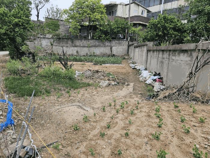 경상북도 칠곡군 왜관읍 왜관리 324-6 주택 경매 사진 7
