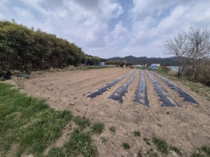 경상북도 경주시 외동읍 구어리 765-2 전 경매 사진 4