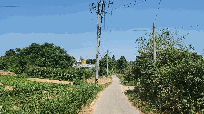 충청남도 천안시 서북구 성환읍 신방리 356-1 공장 경매 사진 3