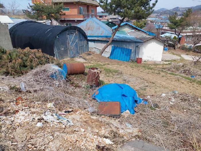 충청남도 아산시 신창면 신곡리 184-3 대지 경매 사진 9