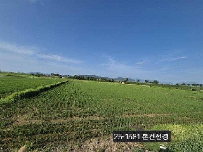 부산광역시 강서구 봉림동 282-14 답 경매 사진 2