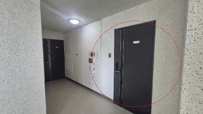 부산 강서구 아파트