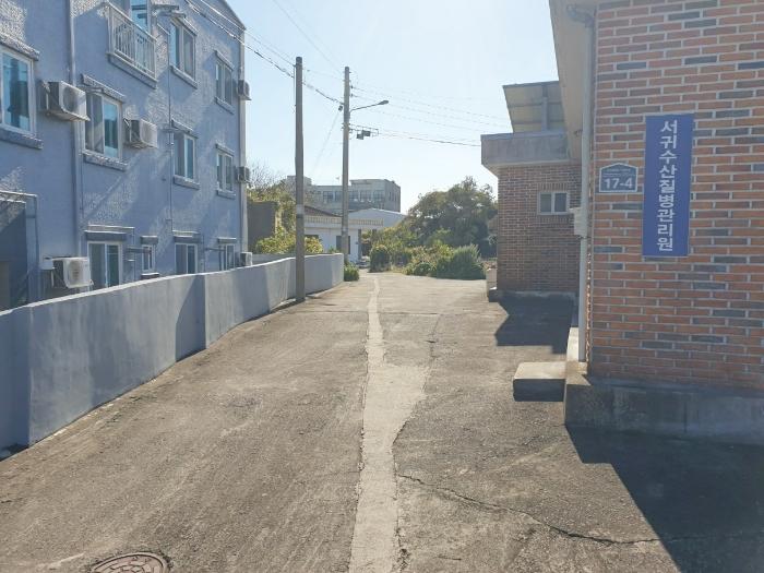 제주특별자치도 서귀포시 표선면 표선리 767 대지 경매 사진 3
