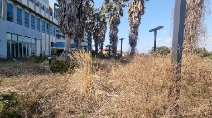 제주특별자치도 서귀포시 성산읍 고성리 1207-1 근린시설 경매 사진 1