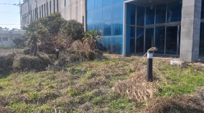 제주특별자치도 서귀포시 성산읍 고성리 1207-1 근린시설 경매 사진 3
