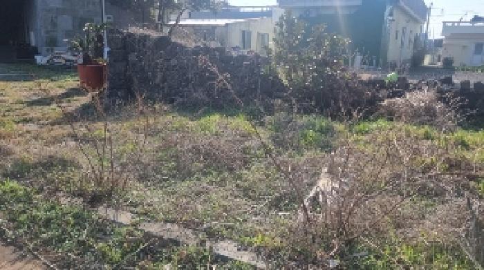 제주특별자치도 서귀포시 성산읍 고성리 1207-1 근린시설 경매 사진 4