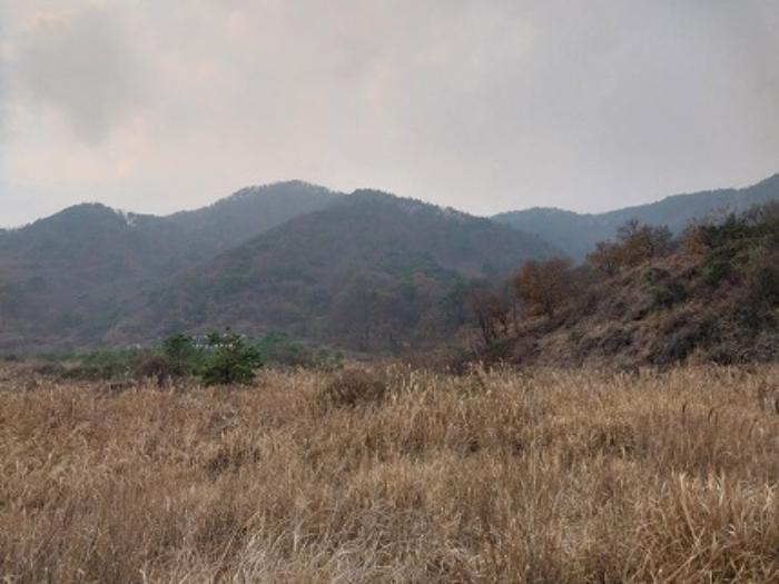 충청남도 공주시 사곡면 가교리 산45-2 임야 경매 사진 10