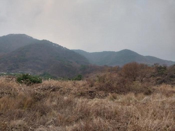 충청남도 공주시 사곡면 가교리 산45-2 임야 경매 사진 11