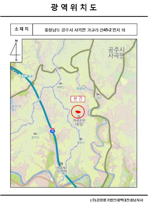 충청남도 공주시 사곡면 가교리 산45-2 임야 경매 사진 14