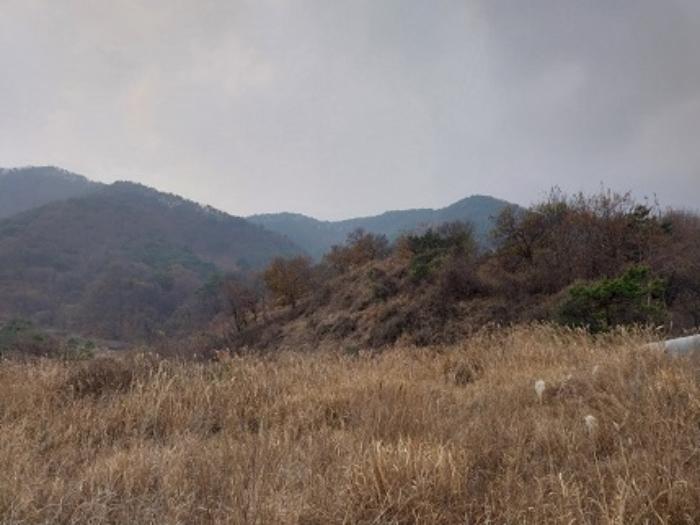 충청남도 공주시 사곡면 가교리 산45-2 임야 경매 사진 9