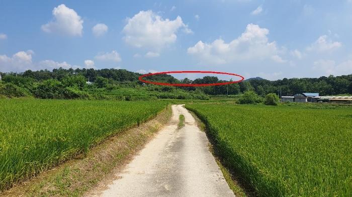 경기도 여주시 세종대왕면 번도리 405-3 임야 경매 사진 2