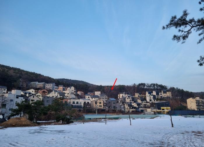 경기 용인시 수지구 임야