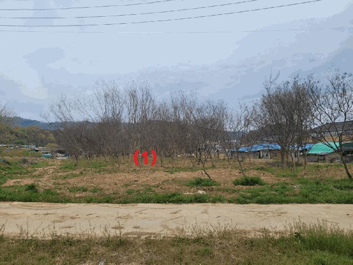 경상북도 칠곡군 약목면 관호리 320 전 경매 사진 3