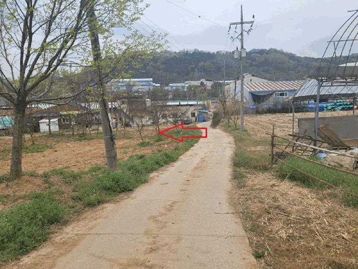 경상북도 칠곡군 약목면 관호리 320 전 경매 사진 4