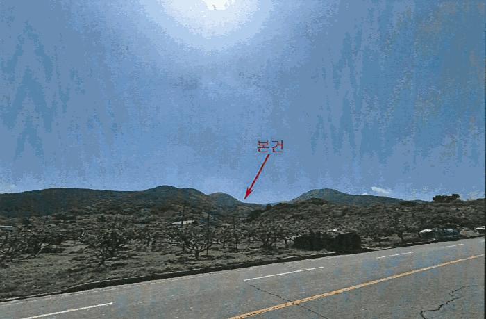 경상북도 청도군 임야