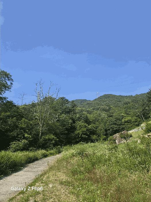 경상남도 창원시 성산구 임야