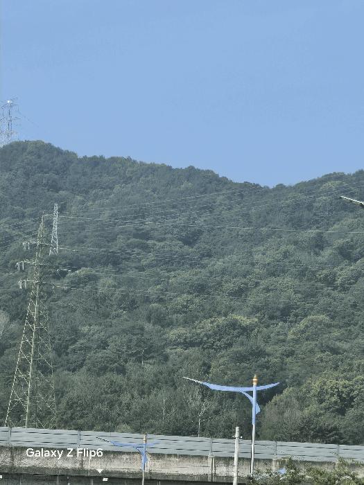 경상남도 창원시 성산구 상복동 산42 임야 경매 사진 2