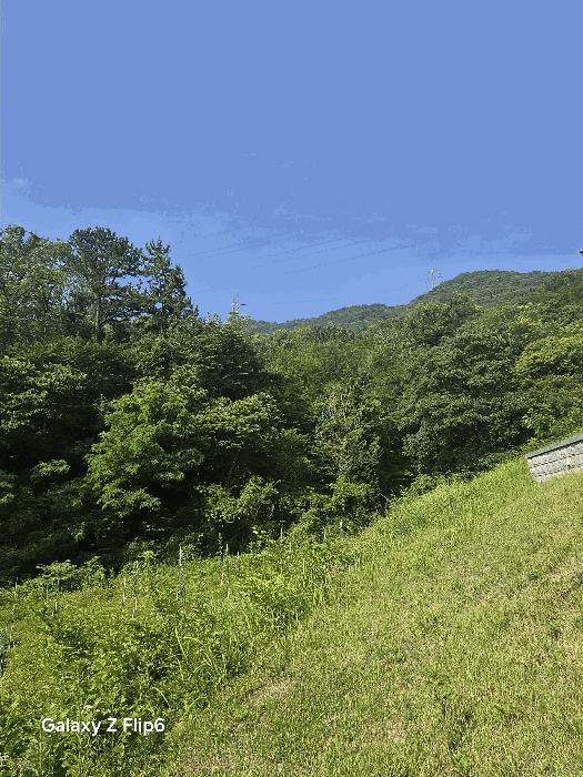 경상남도 창원시 성산구 상복동 산42 임야 경매 사진 4
