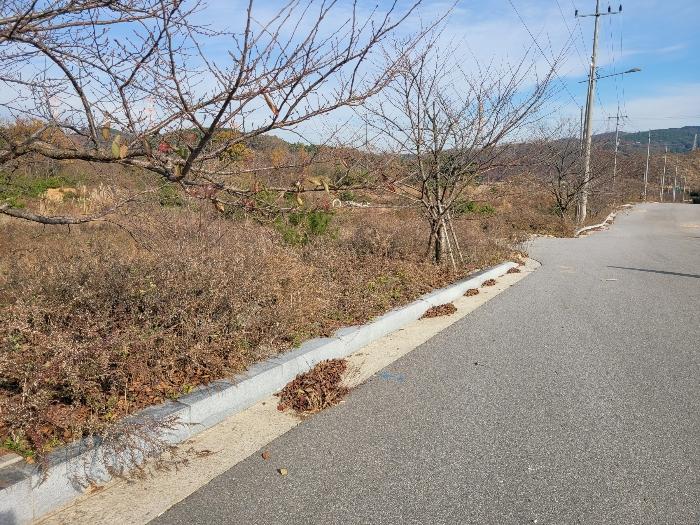충청남도 서산시 운산면 고산리 427 전 경매 사진 10
